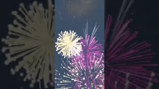 Fireworks Sound Effect with the crowd cheering Free to use [upl. by Elias]