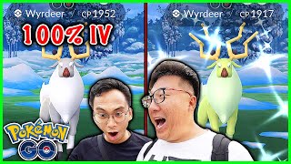 Boosted Shiny And Hundo Wyrdeer Caught On The First Day in Pokemon GO BUT [upl. by Issie481]