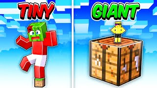 GIANT vs TINY One Block In Minecraft [upl. by Amalia707]