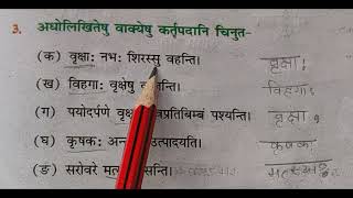 sanskritpathshala  Ruchira Part1 Class 6 Chapter 5 वृक्षा Exercise no 3 [upl. by Mavilia106]