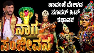 ನಾಗ ಸಂಜೀವನ  ಯಕ್ಷಗಾನ  NAGA SANJEEVANA  KANNADA YAKSHAGANA  PAVANJE MELA  PATLA SATISH SHETTY [upl. by O'Driscoll102]