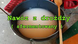 Nawóz z drożdży  sfermentowany [upl. by Dole742]