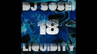 DJ Sosei  Liquidity 18 Liquid Drum amp Bass [upl. by Yrollam]