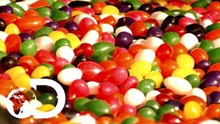 Jelly Beans  How Its Made [upl. by Aetnahc]