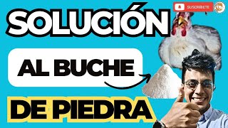 ✍🏽 Cómo CURAR y EVITAR el BUCHE de PIEDRA en los Pollos de Engorde 😱 [upl. by Neirrad]