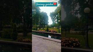 Verinag garden kashmir sheeba87 shortsvideo beautyofkashmir trendingvideo [upl. by Tabor190]