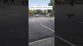 Ballinasloe Fair 2024  Ballinasloe Horse 🐎 Fair 2024 [upl. by Llerral]