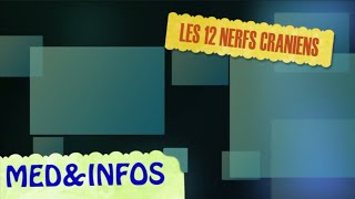 🔵APPRENEZ LES 12 NERFS CRANIENS en 1 MIN [upl. by Sesom]