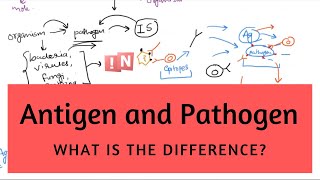 Antigen and Pathogen – What is the Difference [upl. by Edmunda]