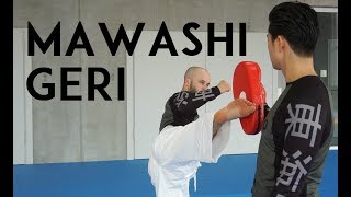 Mawashigeri Roundhouse kick [upl. by Tarryn]