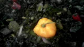 Simple Callaloo Recipe [upl. by Lothario]