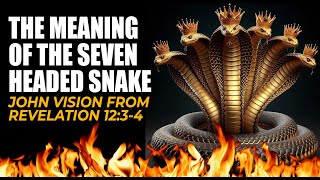 I SAW THE MEANING OF SEVEN HEADED SNAKE DRAGON Book of Revelation [upl. by Jewelle]