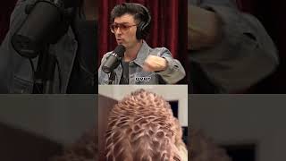 Joe Rogan on Falcon training [upl. by Ruy134]