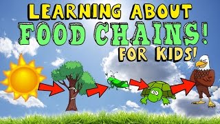 Learning About Food Chains [upl. by Roshelle]