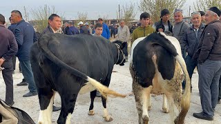 Beshariq mol bozori sigirlar Va ġunajinlar narhlari 13102024yil [upl. by Noj]