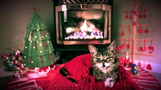 Lil BUBs Very Cozy Yule Log Video 2018 [upl. by Olsson512]