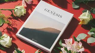 Genesis Chapter 34 The Defilement of Dinah [upl. by Quackenbush]