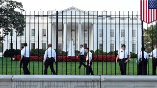 White House security breach man climbs fences makes it past the front door [upl. by Rasla566]