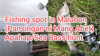 Fishing spot in Malabon Pansingan ni Mang AbetApahapSeaBass hunt seabass barramundi fishing [upl. by Aihsyt]