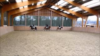 Quadrille Westfälischer Haflinger Sportverein [upl. by Wit842]