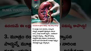 Kidney problem kidney health science fact sciencefacts disease SumaYouTubechannel305 [upl. by Aika]