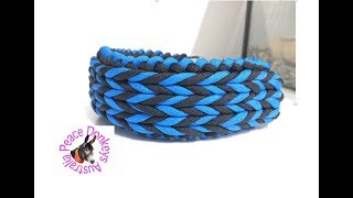 Modified Sanctified two colour centre chain paracord dog collar instructions [upl. by Akemit]