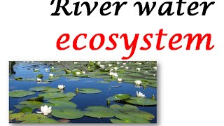 RIVER WATER ECOSYSTEM [upl. by Carnes]