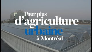 Pour plus dagriculture urbaine à Montréal documentaire [upl. by Eicnarf]