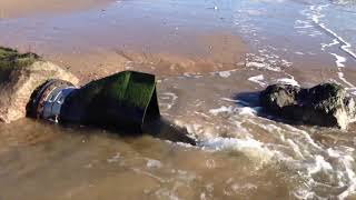 Duckbill Valves Discharging on a Beach [upl. by Halak]