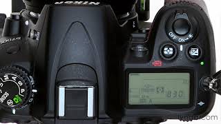 Nikon DSLR Tutorial  Using the autofocus modes [upl. by Atalayah]