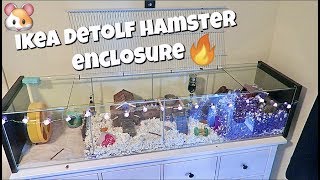 HUGE HAMSTER ENCLOSURE UPGRADE 🐹  IKEA DETOLF [upl. by Burnsed]