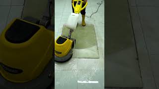 Like New Again Carpet Cleaning Magic [upl. by Pompei]