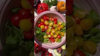 PASTA SALAD 🥗 pastalovers saladrecipe easyrecipes lunchrecipes saladideas saladbowl [upl. by Ozner859]