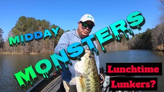 Big Bass are Caught Midday Largemouth Fishing Study Reveals Why are we up so Early lol [upl. by Ettevahs961]