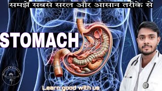 Stomach  Anatomy of GI system  RRB  ANM  UP CHO  BIHAR CHO [upl. by Goren]