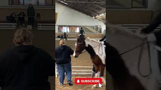 TUNIERVLOG MIT SISSI🤩❤️  Part 2 horse pferde equestrian vlog viralvideo turnier [upl. by Pages]