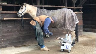 Horseshoeing with pads in Germany [upl. by Brunn]