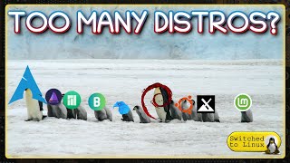 Are There Too Many Linux Distros [upl. by Anaujahs]