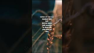 Matthew 621 KJV shalombibleverses bibleverseofthedaykjv bibleverse subscribemychannel life [upl. by Piane]