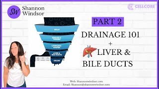 Drainage Pathways Part 2 Liver amp Bile Ducts Cellcore’s Latest Protocol for Gut amp Immune Support [upl. by Sullivan]