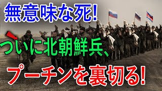 🔥【北朝鮮 ×ロシア】「非常に危険！」北朝鮮アホすぎる！北朝鮮軍基地壊滅 チェチェンモスクワ対立が拡大中‼️ [upl. by Dloraj255]