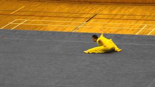 Wei Jian Ying Zhao Performance [upl. by Stefa]