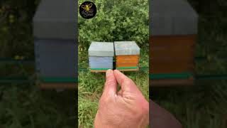 RESSERRER  LRSG apiculture bee beekeeper [upl. by Nerat]