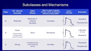 Antiarrhythmics Lesson 2  Sodium Channel Blockers [upl. by Ococ]