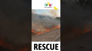 Rescue moment caught on camera  massive fire burns entire forest fire firerescueshorts [upl. by Notlrahc]