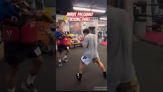 Jimuel Pacquiao Continue Training  Wild Card Boxing Gym [upl. by Donald]