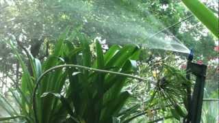 Microjet Irrigation [upl. by Pavia]