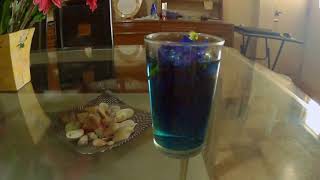 Blue Ternate Tea Timelapse [upl. by Nathanial]