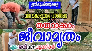 മണ്ണിലെ സൂഷ്മാണുക്കൾ വളരാൻ ഈയൊരു കൂട്ട് മതി  JEEVAMRUTHAM PREPARATION MALAYALAM  Njaanoru Malayali [upl. by Reinhard]