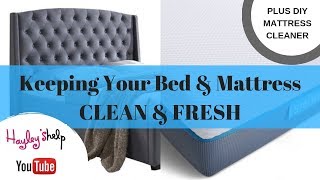 How To Clean Mattress amp Bed Frame  DIY Mattress Cleaner  Part 1 Bed Clean With Me [upl. by Yllil]